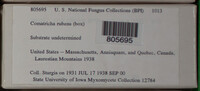 Image Associated With the Occurence